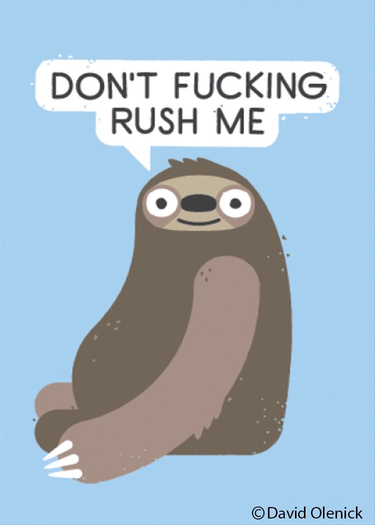 Don't fucking rush me Sloth Funny RECTANGLE MAGNET