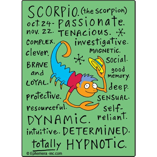 Scorpio Nice Zodiac Sign Clayboys Funny RECTANGLE MAGNET