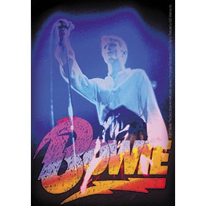 DAVID BOWIE Live Sticker Decal - Rock Band
