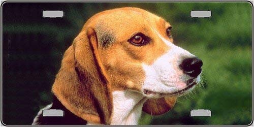 BEAGLE DOG Metal License Plate dog lovers