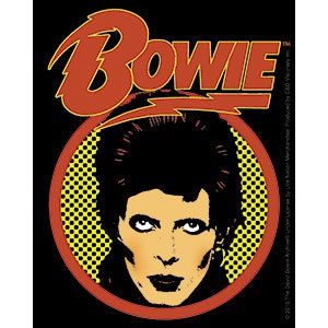 DAVID BOWIE Closeup Logo Sticker Decal - Rock Band