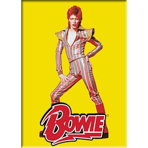DAVID BOWIE Pose Magnet for Refrigerators and Lockers - Rock Band