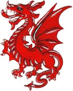 RED DRAGON Patch - Embroidered Patch Applique Mystical Craft Supply