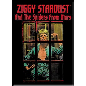 DAVID BOWIE Ziggy Window Magnet for Refrigerators and Lockers - Rock Band