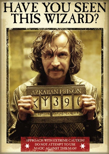 HARRY POTTER Have You Seen This Wizard Magnet for Refrigerators and Lockers Classic Movie