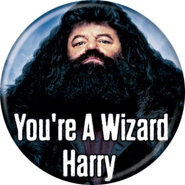 HARRY POTTER Pinback Button Badge - Hagrid Wizard - Classic Movie! - Round 1.25" Button