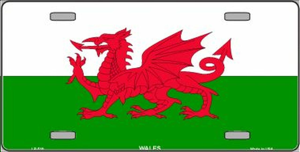 WALES Flag Metal License Plate Sign Novelty Vanity Cymry Cymru Welsh UK
