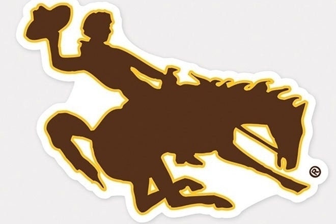 Officially Licensed WYOMING COWBOYS Perfect Cut Color Decal - University of Wyoming Vinyl Decal Sticker for Car or Truck Window Craft Supply