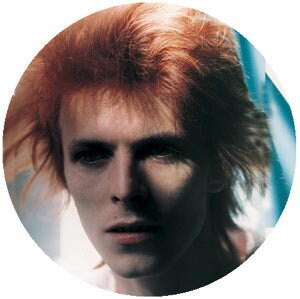 DAVID BOWIE Face Pinback Button Badge - David Bowie Musician Rock Music Album Song - Round 1.25" Button Craft Supply