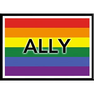 Ally Flag Black & White Outline LGBTQ+ Magnet - 2.5x3.5 Inch - Magnet for Refrigerators and Lockers - Gay Pride Rainbow