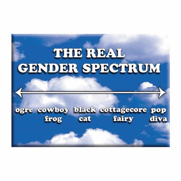 The Real Gender Spectrum LGBTQ+ Magnet - 2.5x3.5 Inch - Magnet for Refrigerators and Lockers - Gay Pride Rainbow