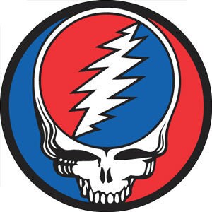 GRATEFUL DEAD Steal Your Face Logo Pinback Button Badge - Jerry Garcia American Rock Band - Round 1.25" Button Craft Supply