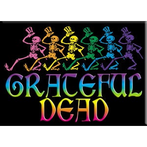 GRATEFUL DEAD Skelly & Rainbow Logo Magnet - 2.5x3.5 Inch - Magnet for Refrigerators and Lockers - Rock Band Craft Supply