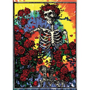 GRATEFUL DEAD Skull & Roses on Tie Dye Magnet - 2.5x3.5 Inch - Magnet for Refrigerators and Lockers - Rock Band Craft Supply