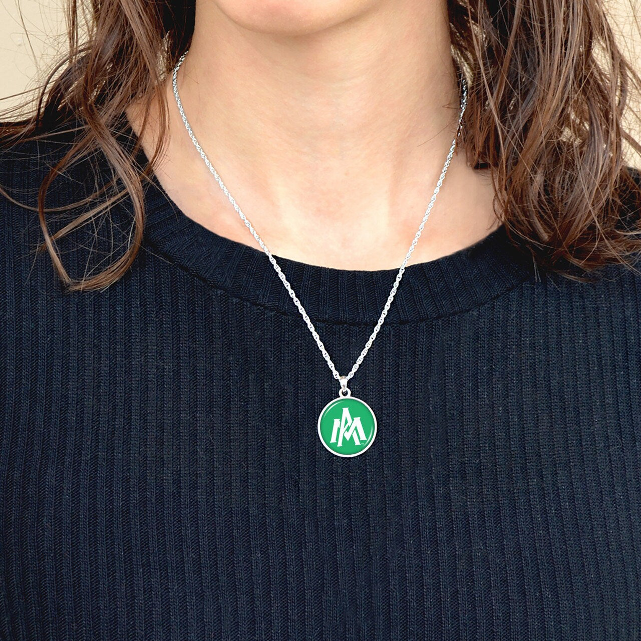 Officially Licensed Arkansas-Monticello Boll Weevils Necklace - Pewter Charm Sterling Plated - University of Arkansas at Monticello