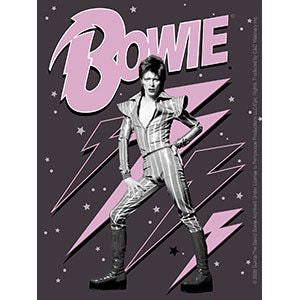 DAVID BOWIE Pink Bolts Sticker Decal - 3.75x5 Inch - English Rock Singer Legend Vinyl Decal Sticker Craft Supply
