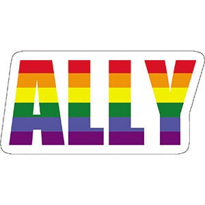 Ally LGBTQ+ Sticker Decal - 5x4 Inch - Equality For All Gay Pride Rainbow Ally Gifts Vinyl Decal Sticker Craft Supply