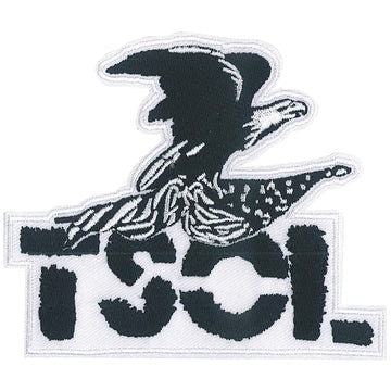 T.S.O.L. True Sounds of Liberty Patch - 4.1x3.5 Inch -  Mail Logo Embroidered Rock Band Patch Applique Craft Supply
