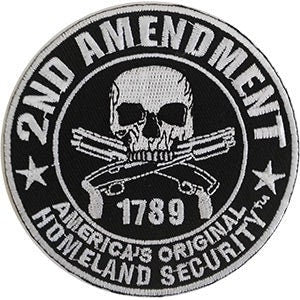 2nd Amendment Homeland Security Patch - 3.25 Inch - Embroidered Patch Applique Craft Supply