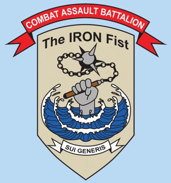 3rd Marine Division Combat Assault Battalion Clear Decal Sticker - United States Marines Clear Decal For Car Truck Window Vehicle Military