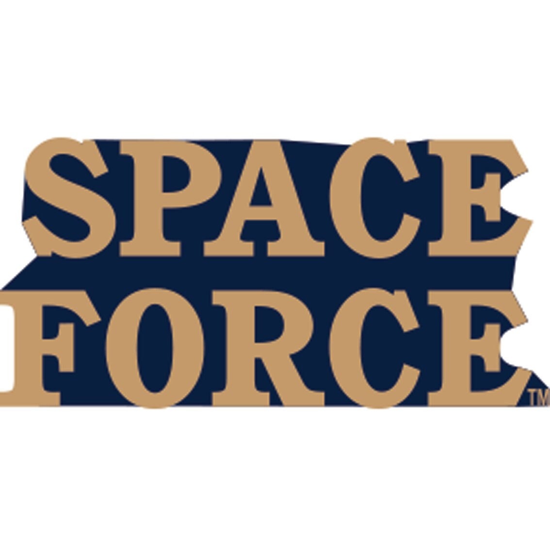 SPACE FORCE Text Lapel Pin - 1 Inch - United States Space Force Enamel Pin for Backpack Tie Shirt Trading Button Pinback Craft Supply